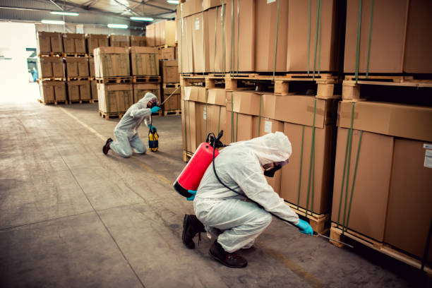 Trusted Santa Ana Pueblo, NM Pest Control Experts