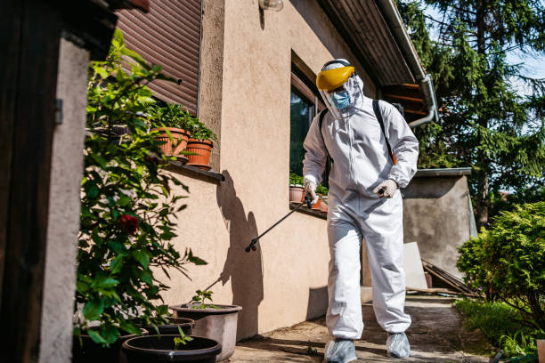Best Termite Control Services  in Santa Ana Pueblo, NM