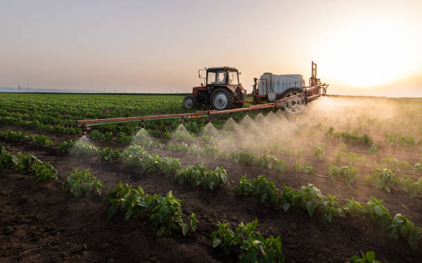 Best Mosquito Control Services  in Santa Ana Pueblo, NM
