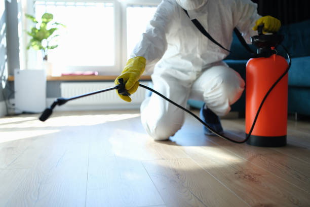 Best Pest Removal Services  in Santa Ana Pueblo, NM