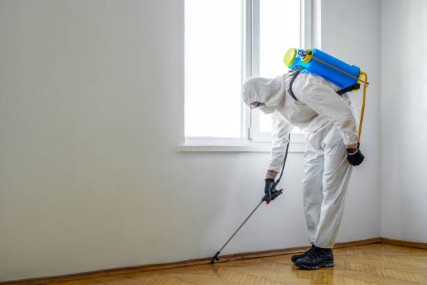 Best Wildlife Control Services  in Santa Ana Pueblo, NM
