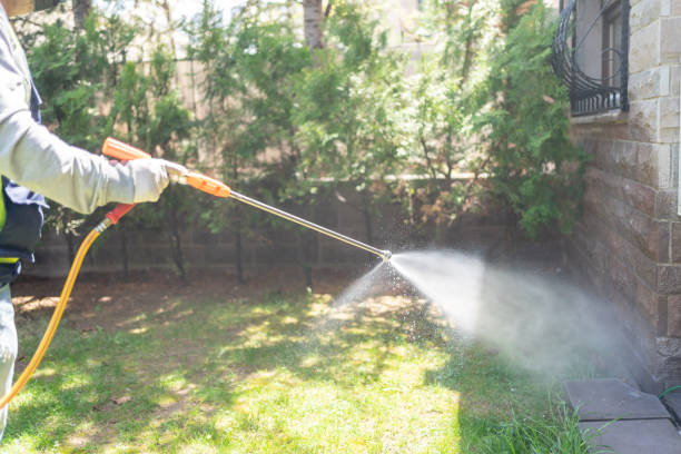 Best Flea Control Services  in Santa Ana Pueblo, NM