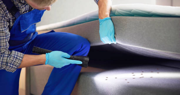 Best Pest Removal Services  in Santa Ana Pueblo, NM