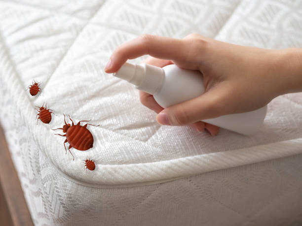 Best Pest Prevention Services  in Santa Ana Pueblo, NM