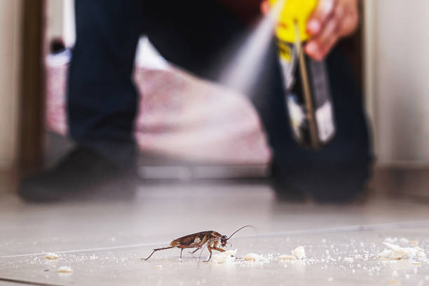 Best Commercial Pest Control Services  in Santa Ana Pueblo, NM